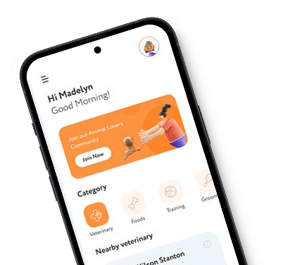 Strayyo app interface